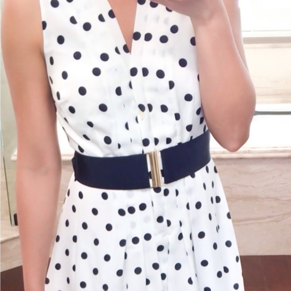 Ann Taylor Petite Dress
